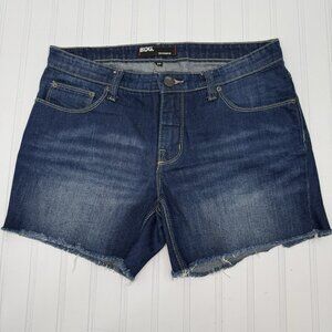 BDG Urban Outfitters Boyfriend Denim Jean Shorts Size 27 Cutoffs Raw Hem Comfort